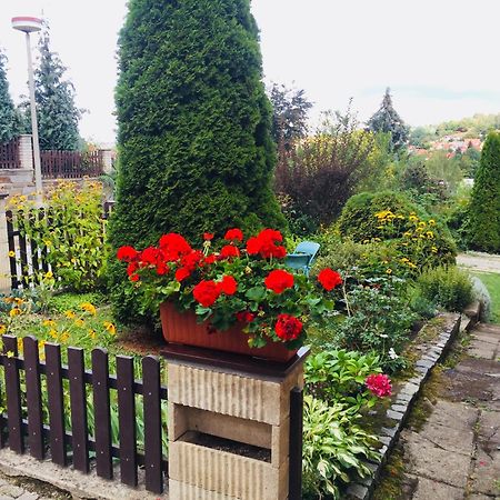 Villa Cihelna Apartments Český Krumlov Esterno foto